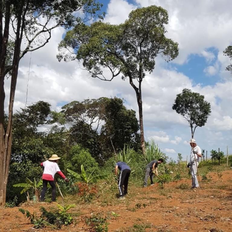 Atividades de Plantios e Escada de Pneus