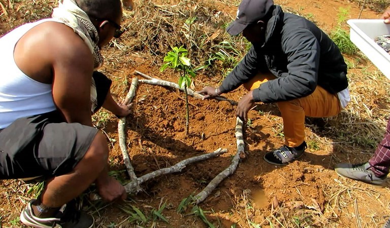 Parceria entre a ONG Verde e AJAGB vai exportar Casa12Volts para Guiné-Bissau