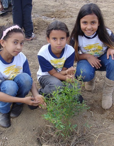 Memórias de Atividades da ONG Verde