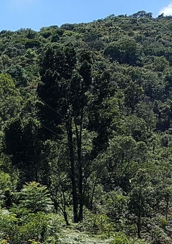 Programa de Educação Ambiental - Mirante Solunar