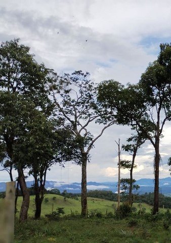 Mirante educativo – solar e lunar – com diversas informações e objetos interativos (rosa dos ventos, sol, lua, planetas, constelações, catálogos, telescópio etc.) que apresentam e valorizam a biodiversidade terrestre do Bioma Mata Atlântica.