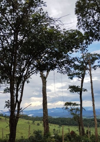 ONG Verde - Programa de Educação Ambiental